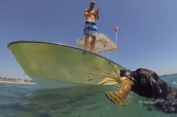 be97e548fd18e49016127e6e50575683