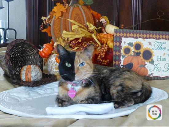 2b58c5dbfdfd1ef1202b35c140b3419f