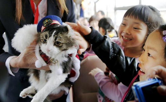 1b7b26aa07f9fffa0c19c06ee9dc1fa4