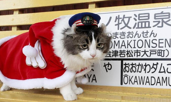 3e1ec9a26824c43ac532246203fb4286