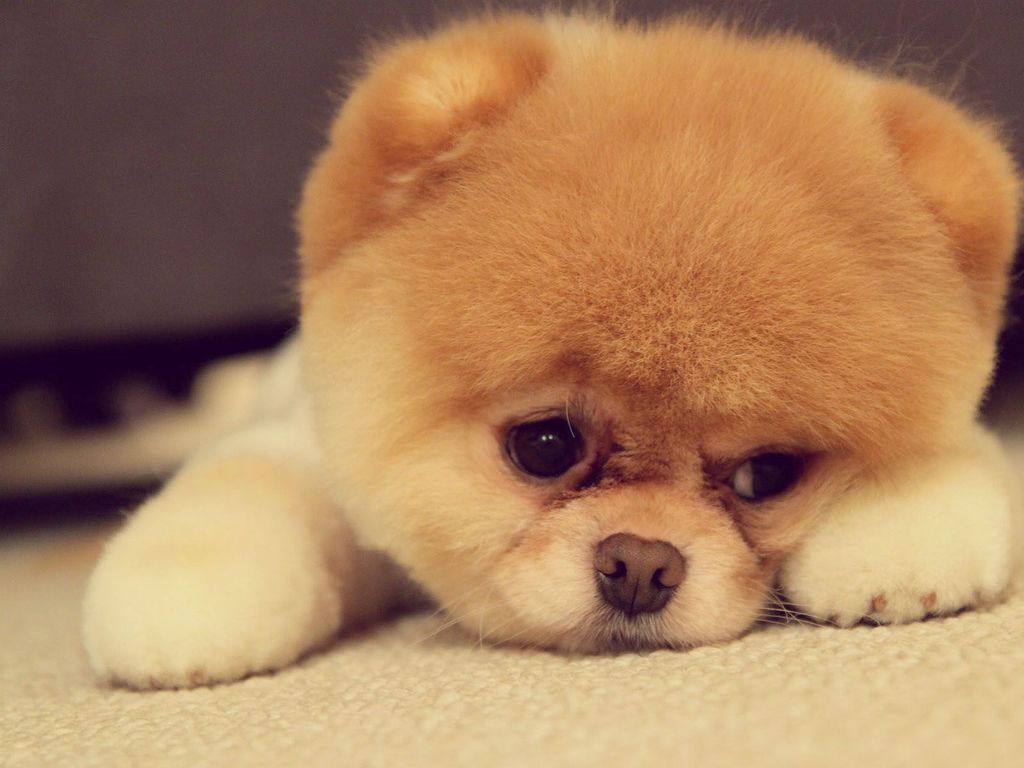 df08fe21ae18ec4414d6cb18795d0ce0