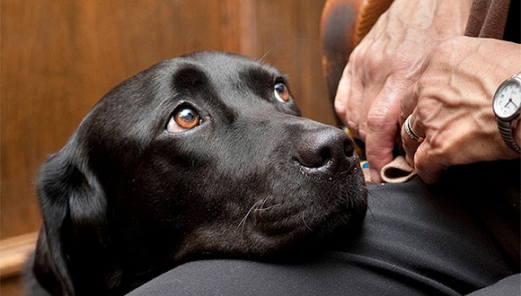 01eea7b65d37621fe58b482f9e77e4b9