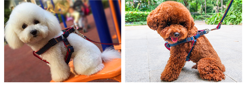 204d3a6933706947130dd6d07a022e23