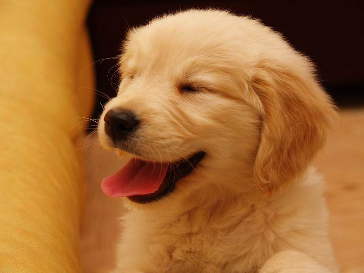 953dc9084c72997fdf95859caabb6200