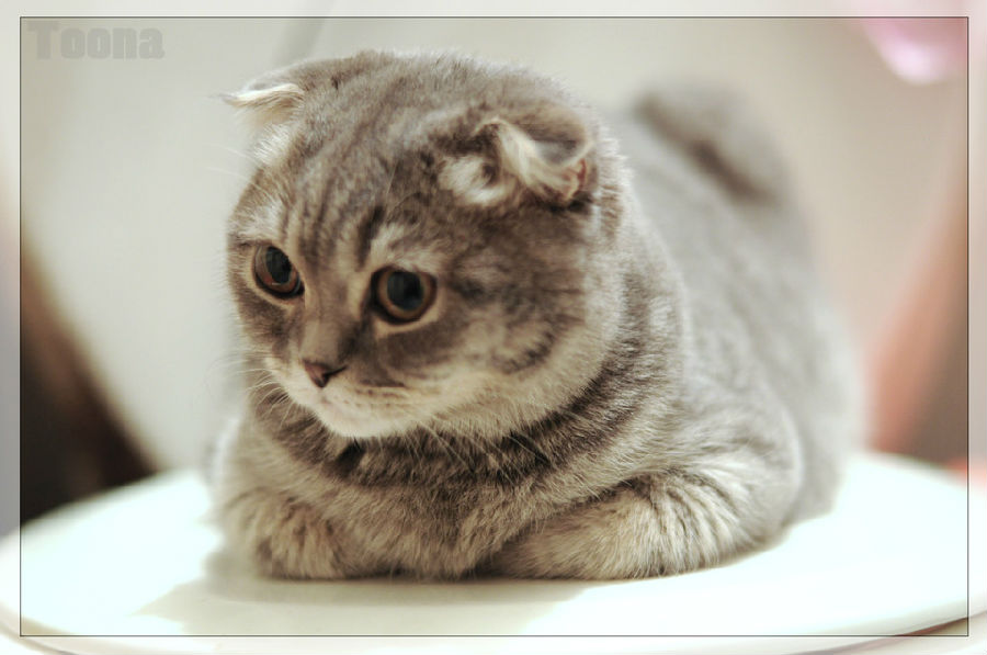 f96a3457f9c9f089fc798c1a16b18782