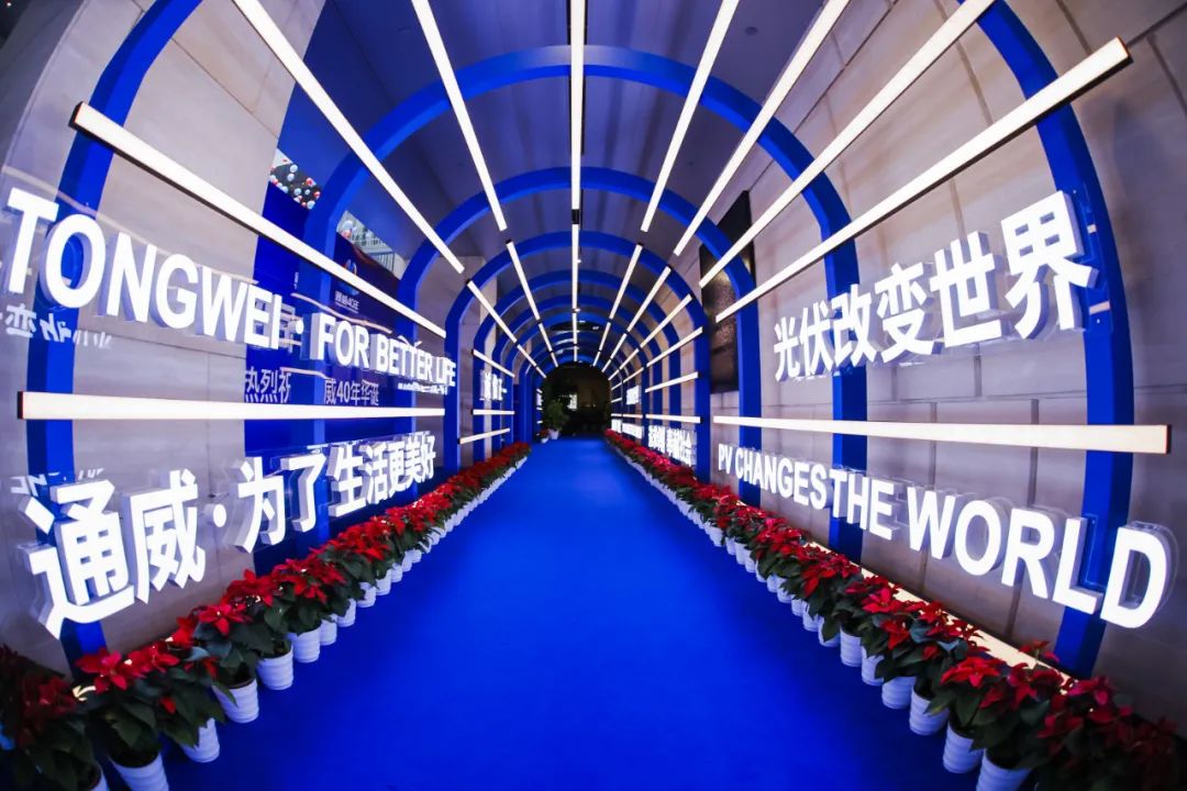 27d283d8b6edca331c56f80363e146d0