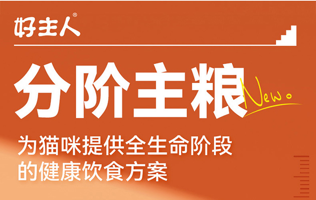 2c62fde24555c96b9293fedffe7fc11b