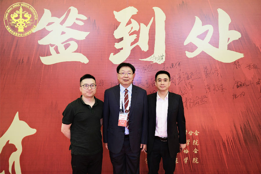 0b6ccada0cca2d4380879ea0a412b19c